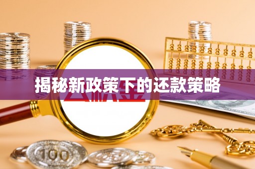 贡寮揭秘新政策下的还款策略