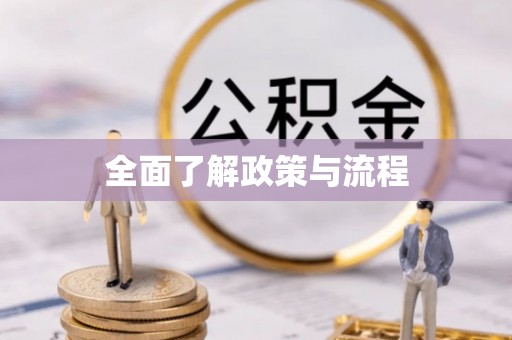 贡寮全面了解政策与流程