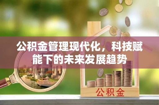 贡寮公积金管理现代化，科技赋能下的未来发展趋势